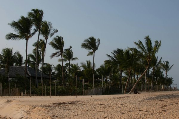 Comment choisir le bon équipement de sécurité pour un camping dans des zones marécageuses ?